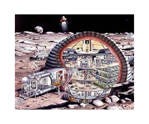 Chinese astronauts may grow veg on Moon
