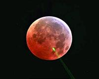 Land a Lunar Laser Reflector Now!