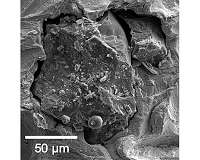 One small grain of moon dust, one giant leap for lunar studies