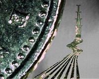 Breakthrough for electrode implants in the brain