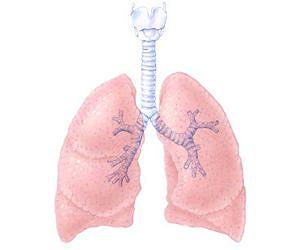 Reversing smoke-induced damage and disease in the lung