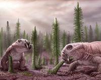 Studying oxygen, scientists discover clues to recovery from mass extinction