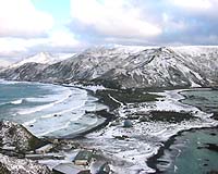 Removing invasive species on remote island unleashed disaster