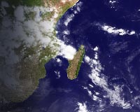 Madagascar yields three new primate species