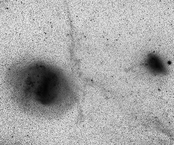 Research reveals gravitational forces may be dismantling Milky Way's small neighbor