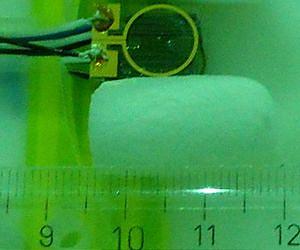 New Mini-sensor Measures Magnetic Field of the Brain