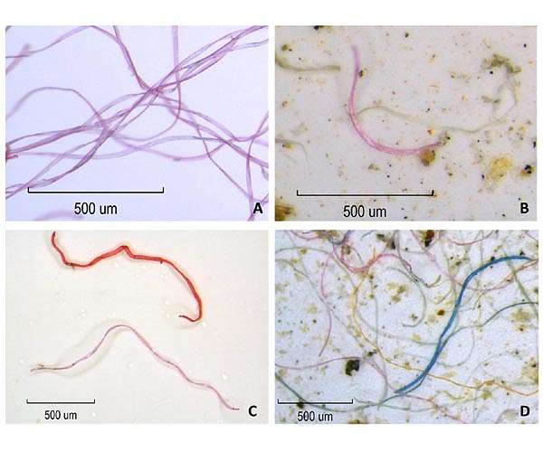 Electric clothes dryers: An underestimated source of microfiber pollution
