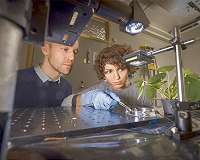 Hybrid plasmonic and pyroelectric harvesting of light fluctuations