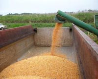 Climate Change And Food Supplies