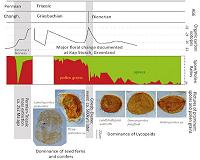 Previously unknown global ecological disaster discovered