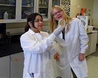 WSU researchers produce jet fuel compounds from fungus