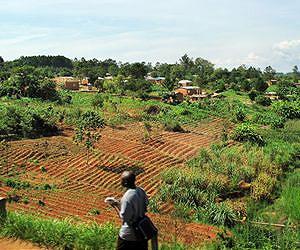 Fertilizers could help tackle nutritional deficiency in African country