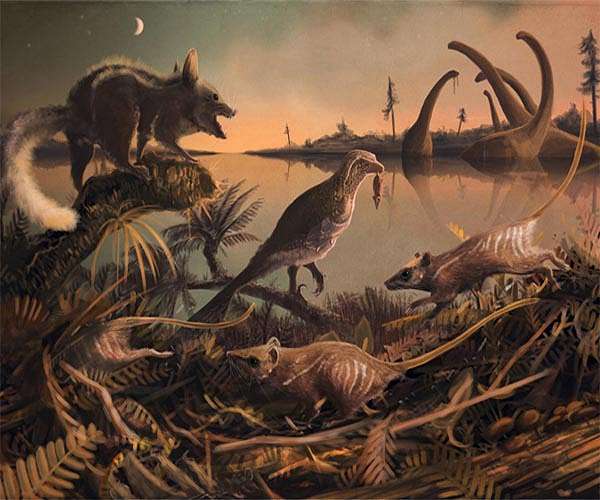 Scientists find 74-million-year-old mammal fossil in Chile