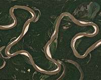 Sharp bends make rivers wander