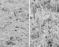 Manganese dioxide shows potential in micromotors