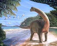 New Egyptian dinosaur reveals ancient link between Africa and Europe