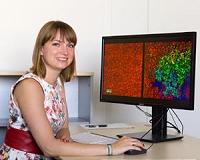 Transparent, conductive network of encapsulated silver nanowires