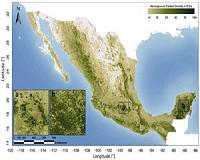 First Detailed Map Of Carbon Stocks In Mexico Forests Unveiled