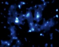 What Big Bang? Universe May Have Had No Beginning at All