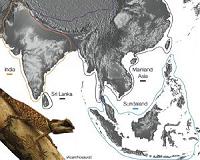 Land bridges linking ancient India and Eurasia were 'freeways' for biodiversity