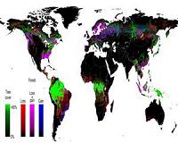 UNEP launches global platform to protect forests