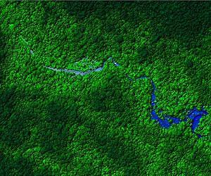 UH research team uses airborne LiDAR to unveil Honduran archaeological ruins