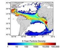 Study assessed impacts of Deepwater Horizon oil spill on sea turtles