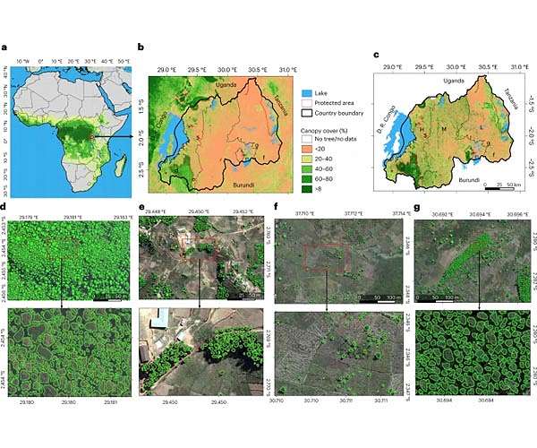 Rwandan tree carbon stock mapped from above