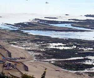 First-of-its-kind study reveals surprising ecological effects of earthquake and tsunami