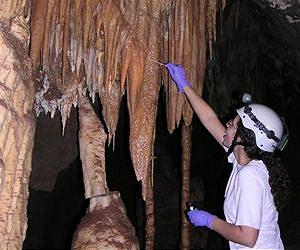 A living desert underground