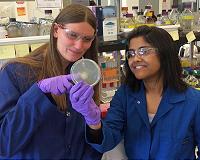 Berkeley Lab scientists brew jet fuel in 1-pot recipe