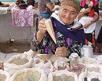 Researchers Build New Model Of Bio-Exploration In Central Asia