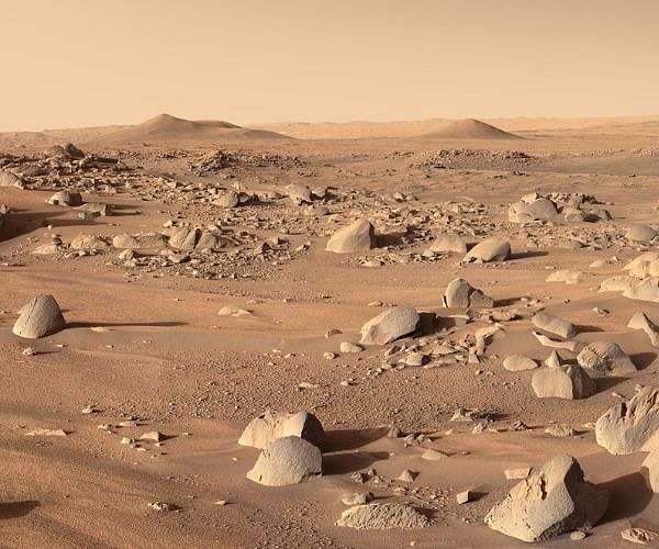 Was There Life on Mars