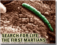 Mars likely to have enough oxygen to support life: study
