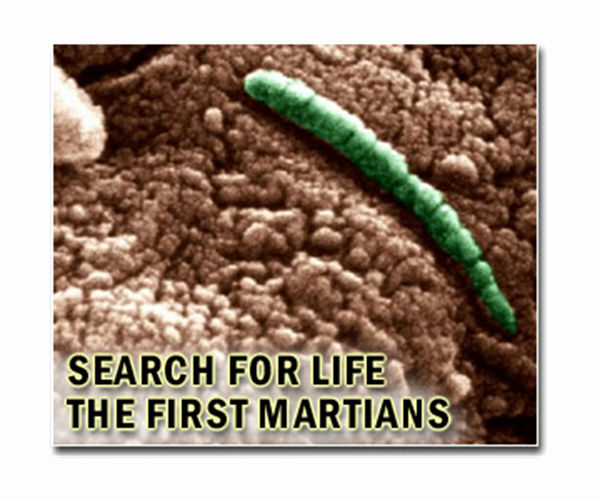 Nitrogen-fixing bacteria help clover plants grow in Mars-like soil