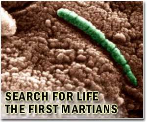 Earth bacteria could survive on Mars
