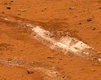 Martian Soil May Contain Toxic Compounds Harmful To Life