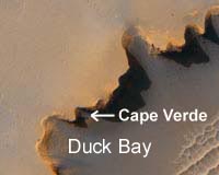 An Opportunity To Take A Captain Cook At Duck Bay