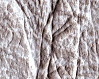 MRO Reveals Rock Fracture Plumbing On Mars