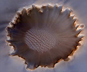 Earth Microbes May Contaminate Search For Life On Mars