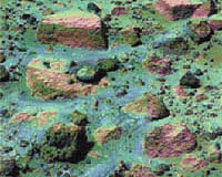 Iron-Coated Fossils Hold Clues To Possible Signs Of Martian Life