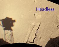 NASA's Phoenix Lander Might Peek Under A Rock