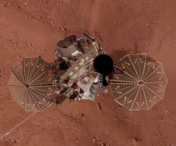 Phoenix's Red Planet Selfie