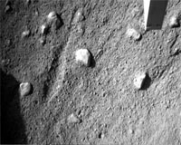 Phoenix Sifts For Samples, Continues Imaging Landing Site