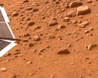 Martian Soil Good Enough For Asparagus