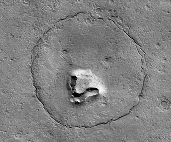 Is there life on Mars? Maybe, and it could have dropped its teddy