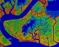 Venice nurtures its lagoon back to health