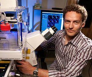 Discovery of extremely long-lived proteins may provide insight into cell aging