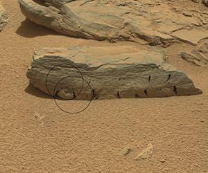 Fostering Curiosity: Mars Express relays rocky images