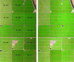 NASA Studies Vegetation Canopy Water Content, Soil Moisture
